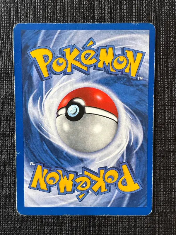 ImageUpload|14304697