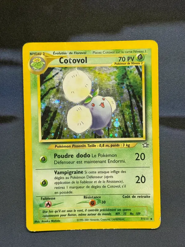 ImageUpload|13355694