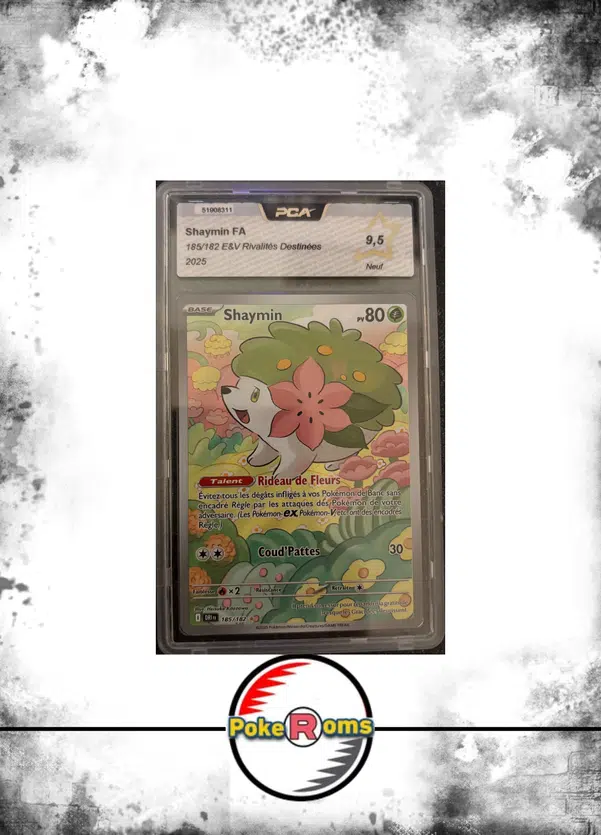 ImageUpload|13768096