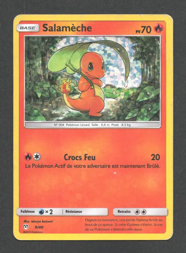 ImageUpload|10619234