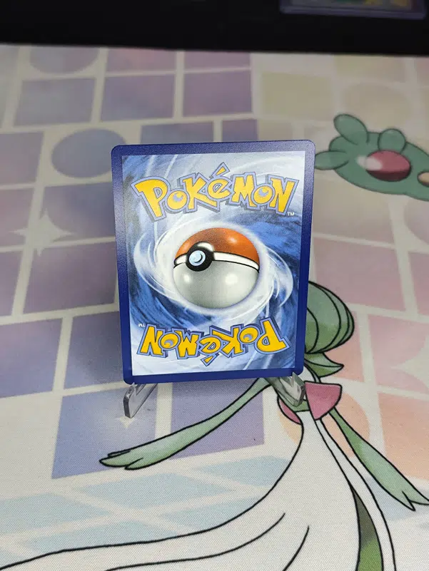 ImageUpload|13956388