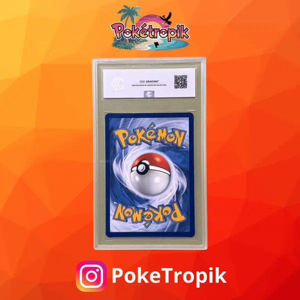 ImageUpload|13503379