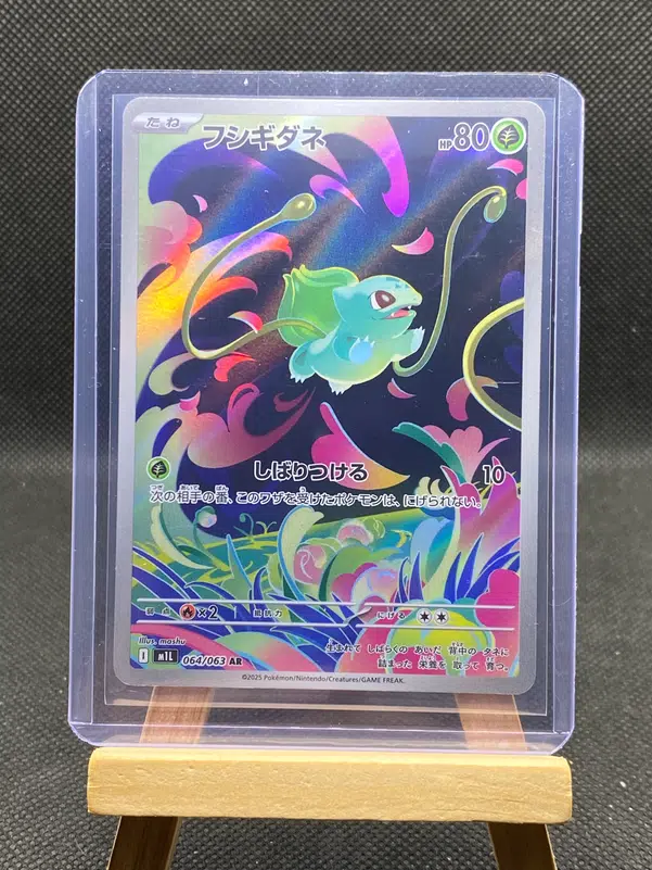 ImageUpload|12933264