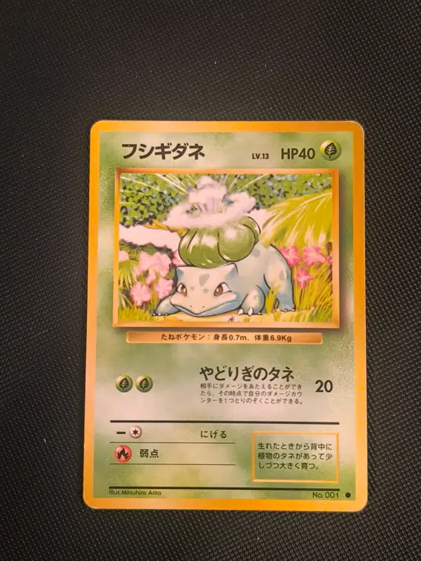 ImageUpload|10245455