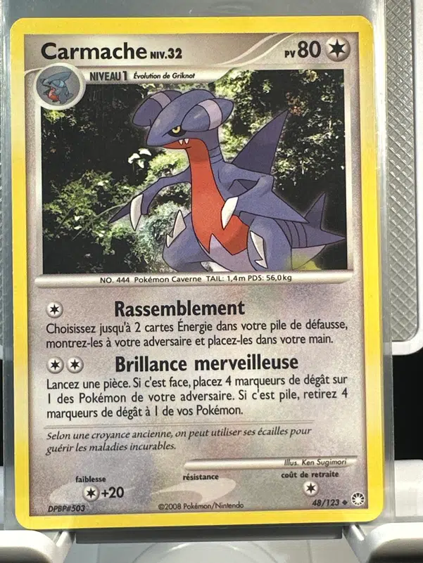 ImageUpload|12968610