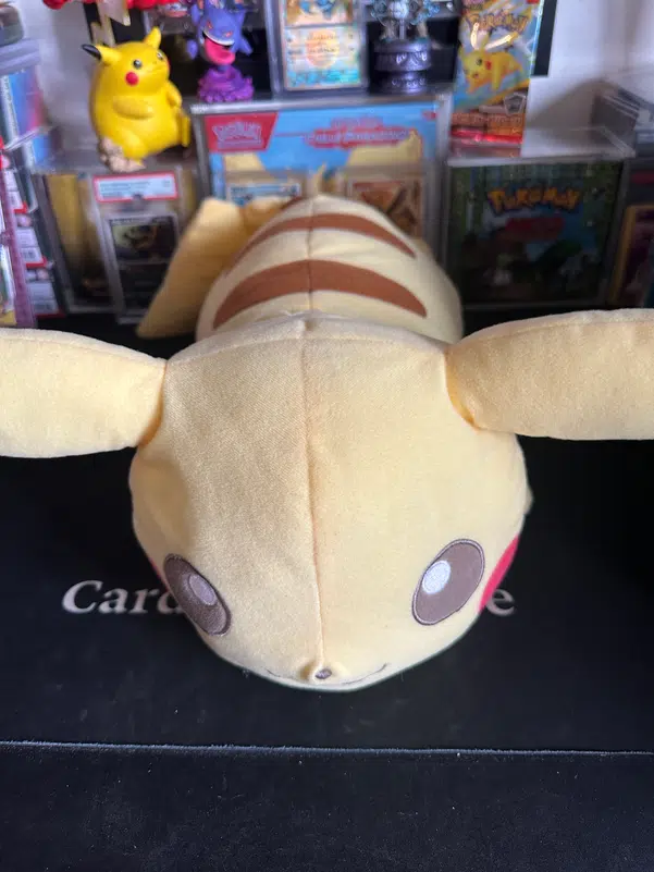 ImageUpload|12932999