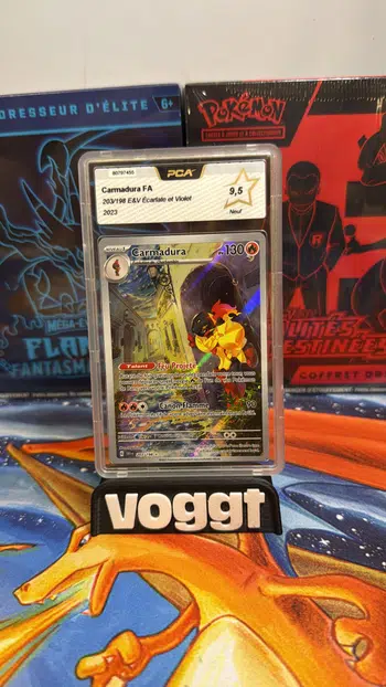 https://cdn.production.voggt.io/products/7f766aba-9c70-49fc-86d5-a1a3c653d59b.jpeg/350/product.webp