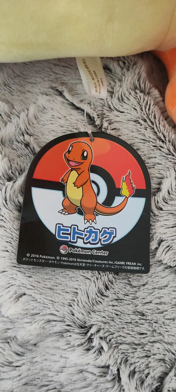 ImageUpload|10916469