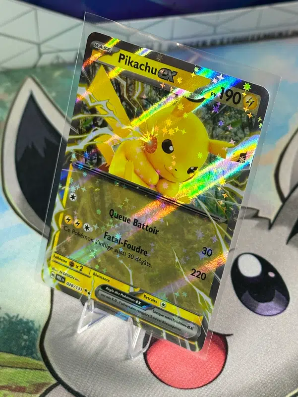 ImageUpload|10213748