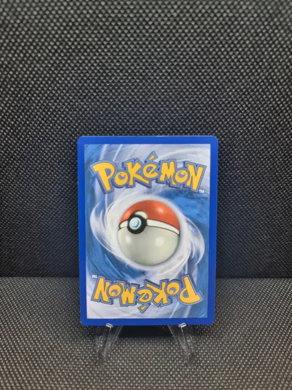 ImageUpload|11283488