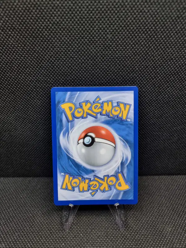 ImageUpload|11282494