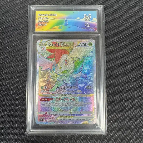 ImageUpload|11039608