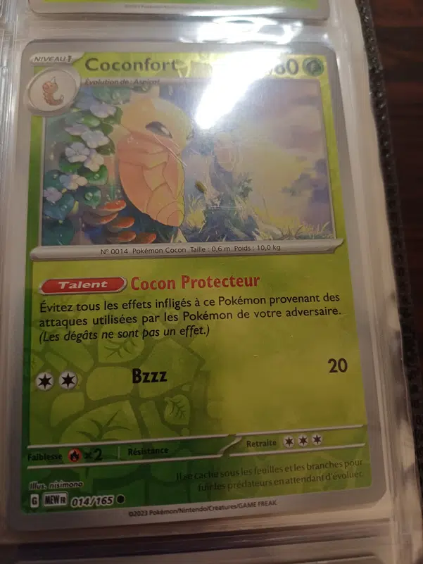 ImageUpload|12236611