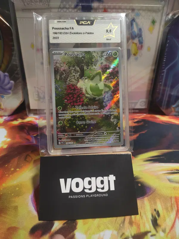 ImageUpload|12946304