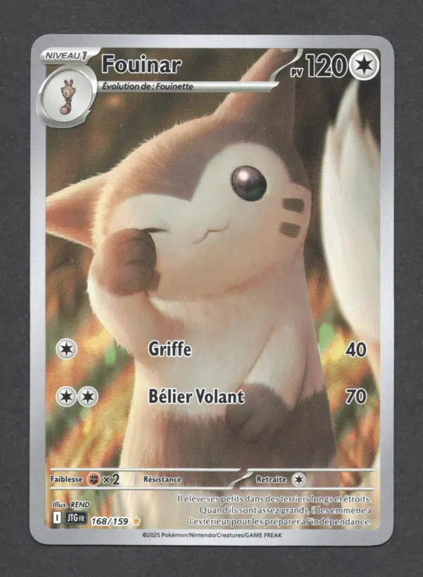 ImageUpload|10282342