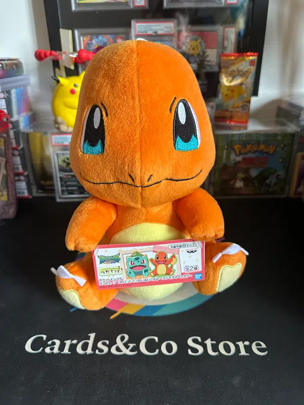 ImageUpload|12932993