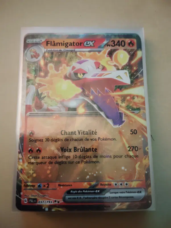 ImageUpload|11607333