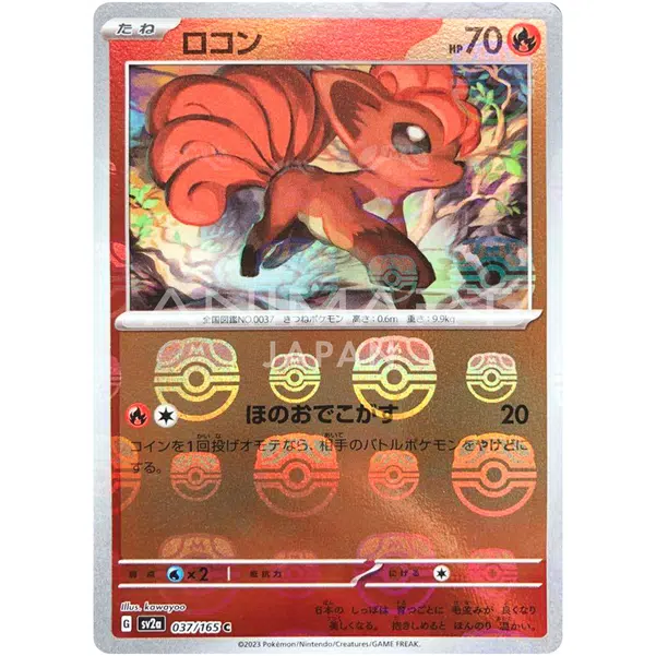 ImageUpload|13602574