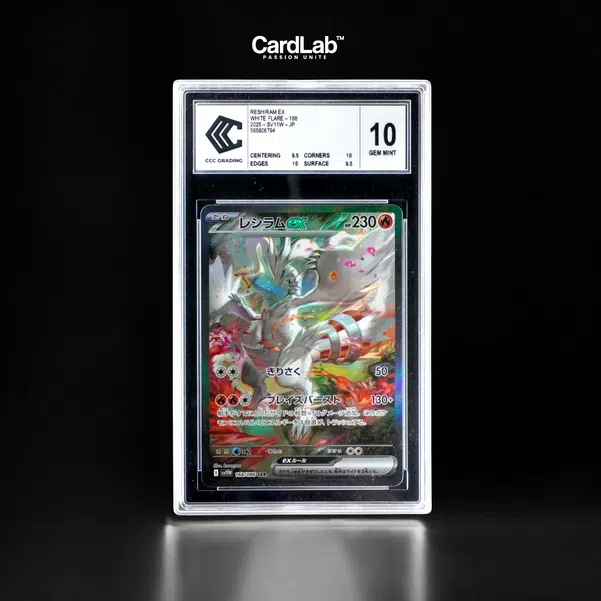 ImageUpload|13601996