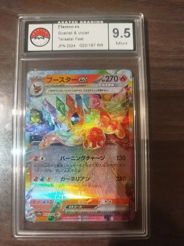 ImageUpload|13450237