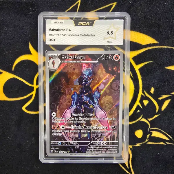 ImageUpload|13688393