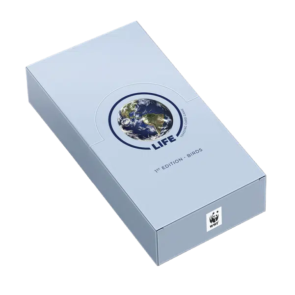 ImageUpload|12719369