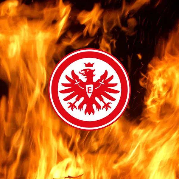 ImageUpload|10181473