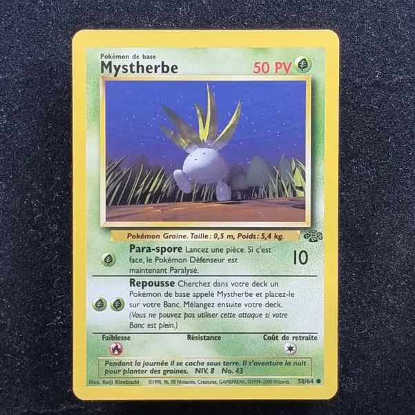 ImageUpload|11282214