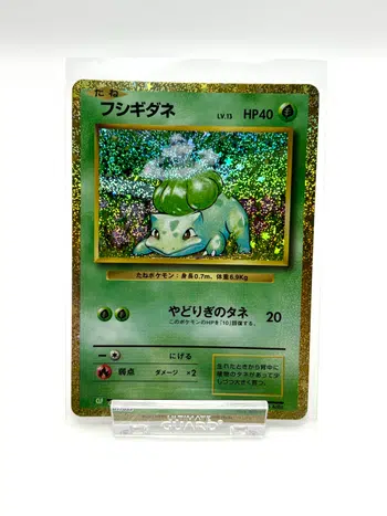 https://cdn.production.voggt.io/products/8ff7f5d3-2fca-430d-a022-d18cb26bddf4.jpeg/350/product.webp