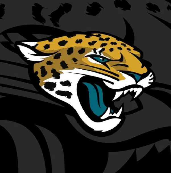 ImageUpload|15149946