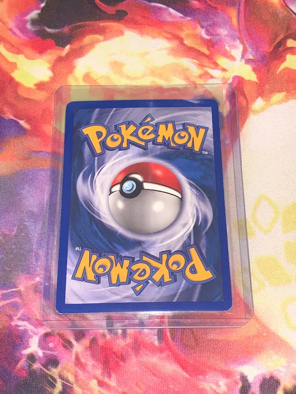 ImageUpload|13520512