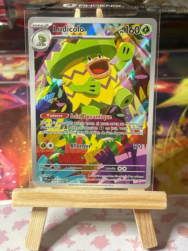 ImageUpload|13607307