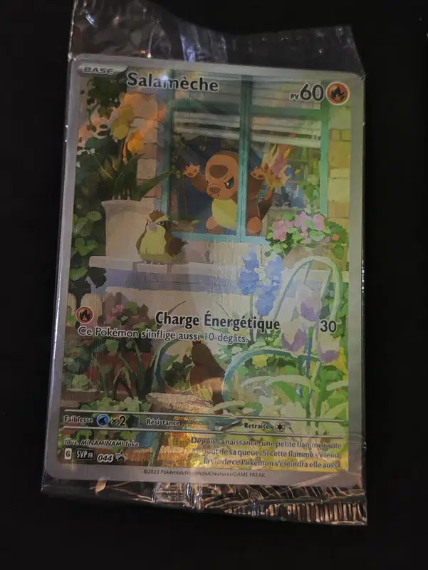 ImageUpload|13179376