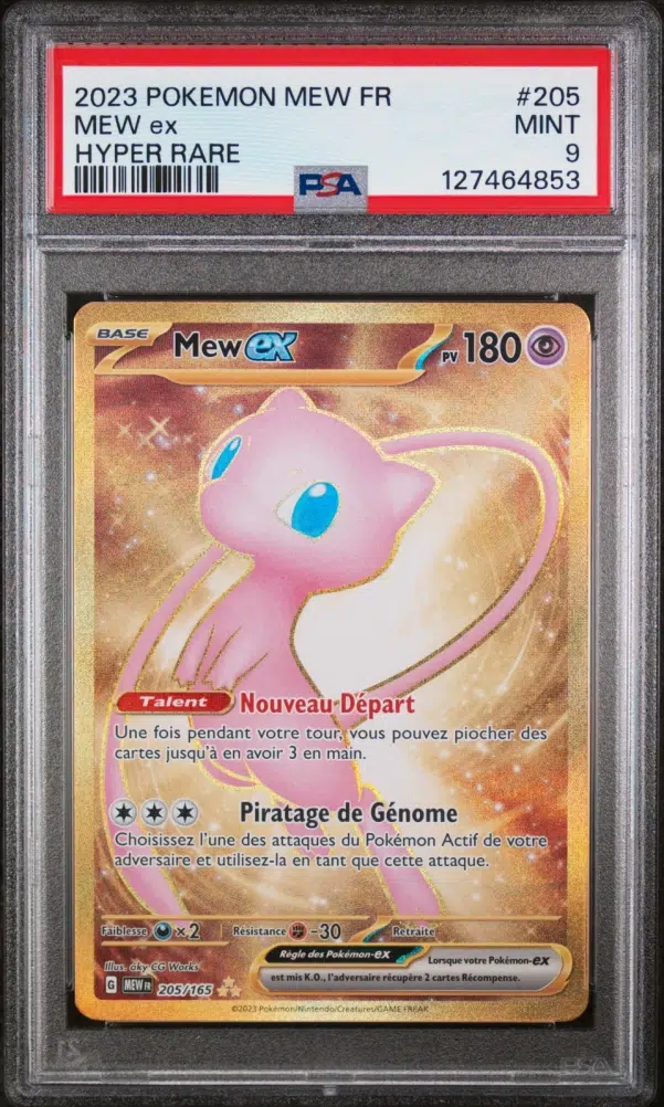 ImageUpload|14229888