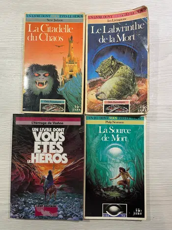 LIVRE DONT VOUS êtes le Héros LDVELH La citadelle du Chaos EUR 11,99 - FR