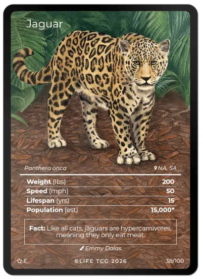 ImageUpload|15808300