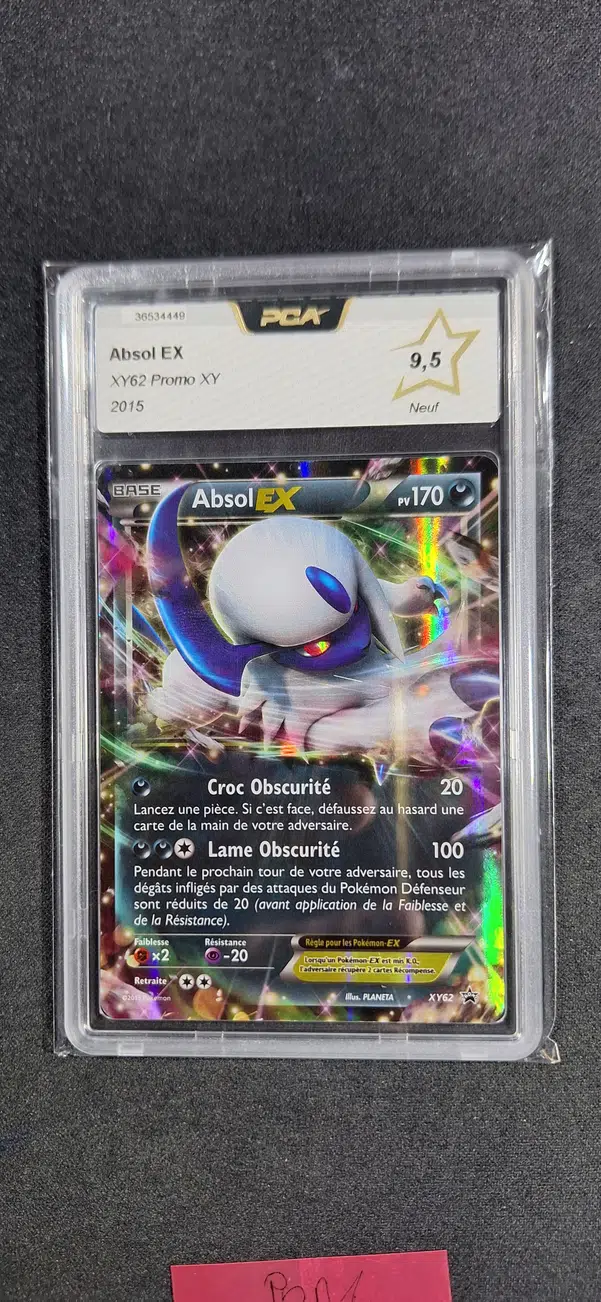 ImageUpload|13648637