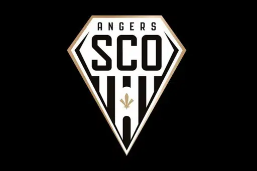 ImageUpload|10987638