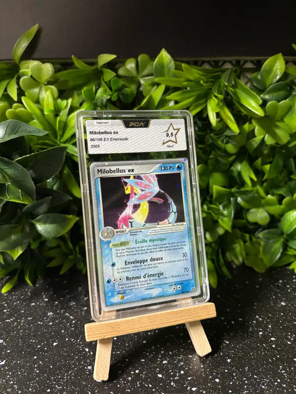 ImageUpload|13315869