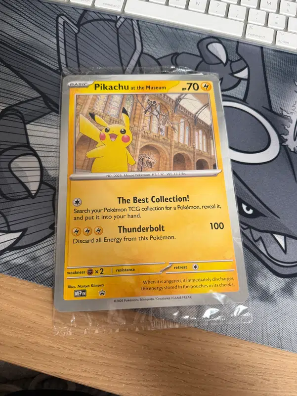 ImageUpload|15176541