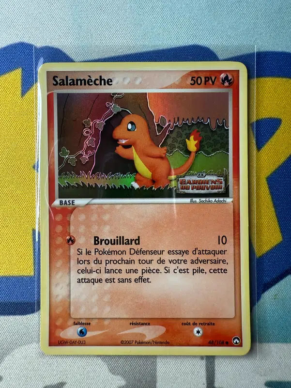 ImageUpload|13449144