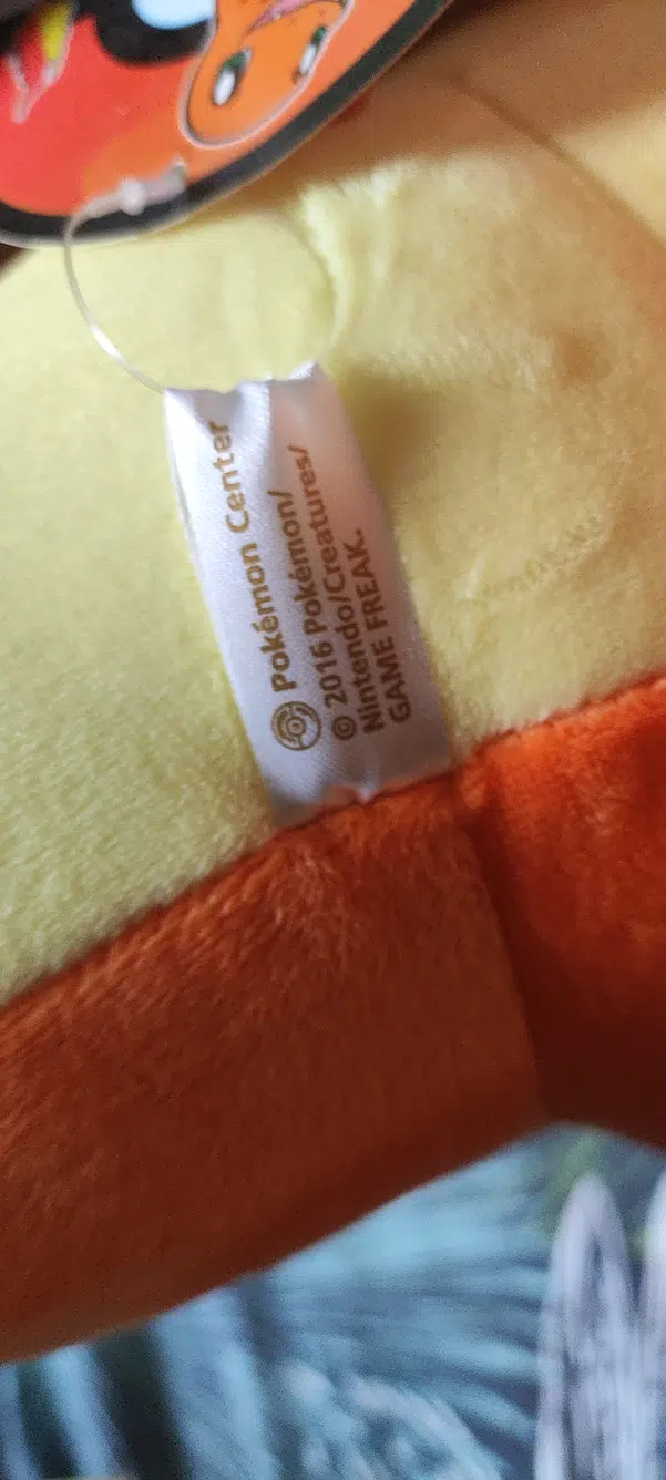 ImageUpload|10916469