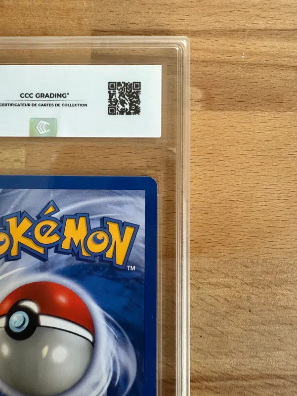 ImageUpload|13042851