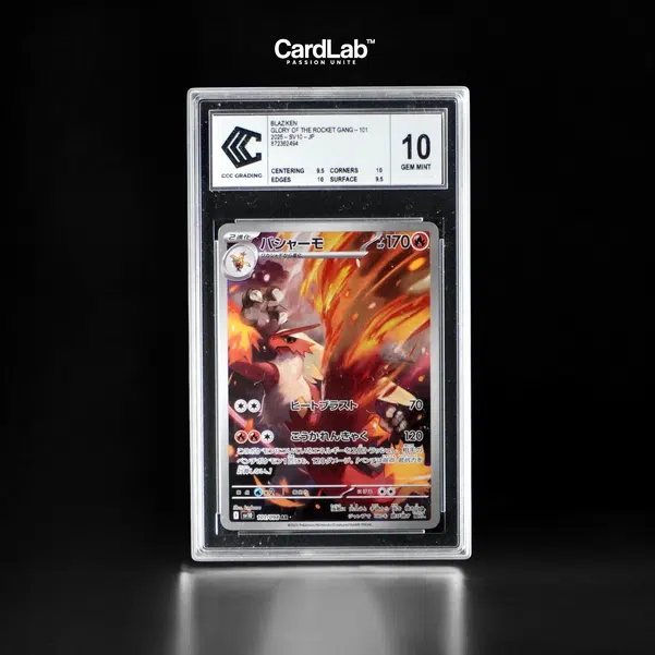 ImageUpload|10204849