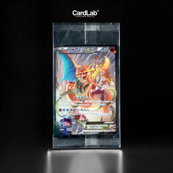 ImageUpload|13581688