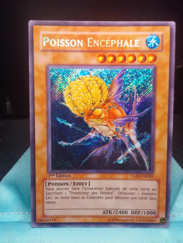 ImageUpload|13374134