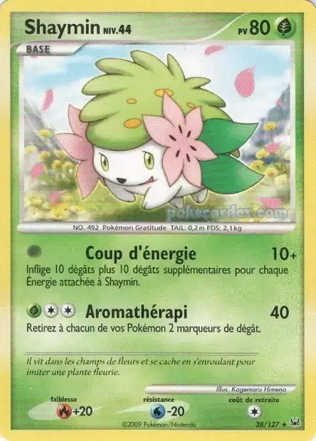 ImageUpload|10276115