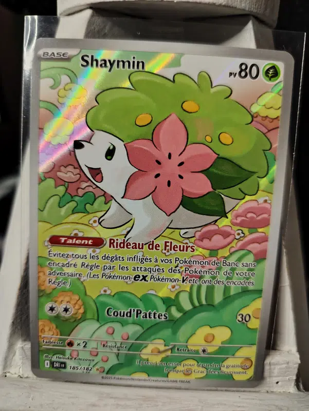 ImageUpload|10488749