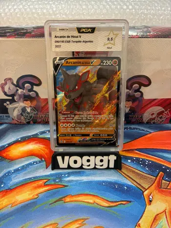 https://cdn.production.voggt.io/products/a1922174-e354-4b2c-94f0-9c73fffd92db.jpeg/350/product.webp