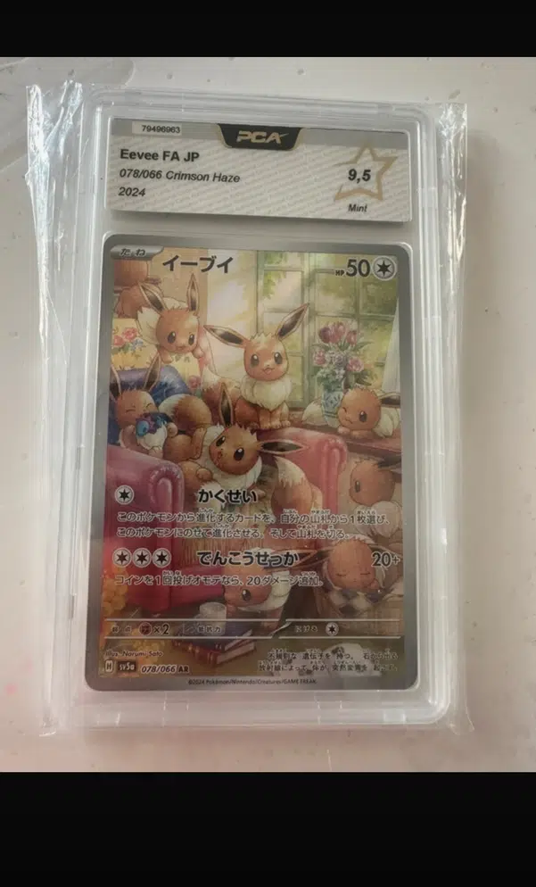 ImageUpload|13196617